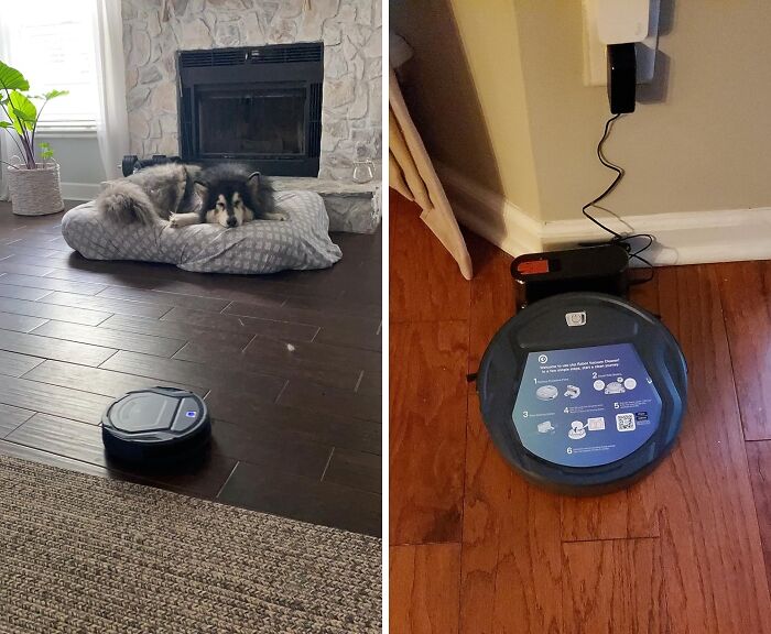 " Robot Vacuum Cleaner. Just Let Him Get On With It, And I Can Spend The Time Doing Something Else. Does A Good Job, Too, Then Hides Himself Under A Sofa. It's On The Alexa, So Can Tell It To Start Or Stop, Or Can Send Him Away When I'm Out Of The House." - Dr_raff
