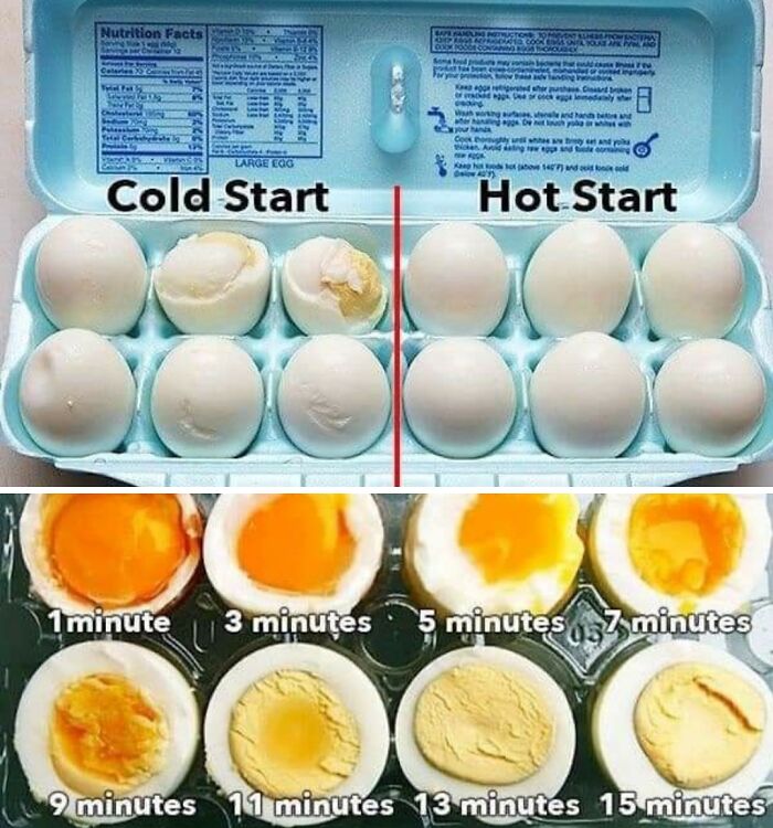 Cook The Perfect Egg