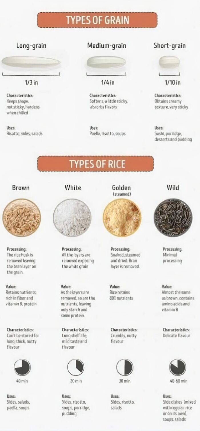 A Cool Guide To How To Cook Different Kinds Of Rice
