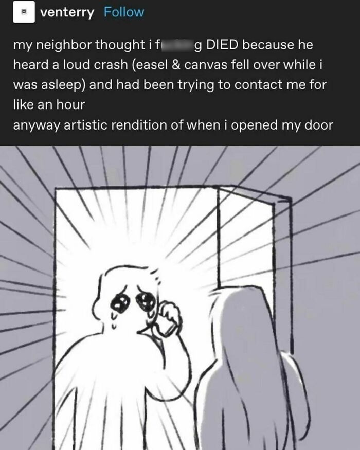 Funny meme illustration of a surprised person opening a door, with bright rays and a humorous caption about a loud crash.