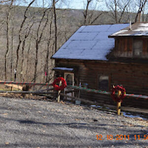 jillfitzmaurice avatar