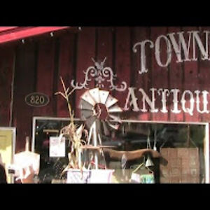 sophieseverson avatar