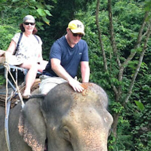 brianwoodcock avatar