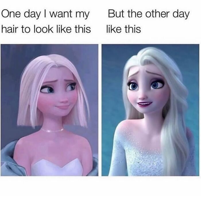 Two images of a female animated character showing different hairstyles, illustrating relatable hair style changes meme.