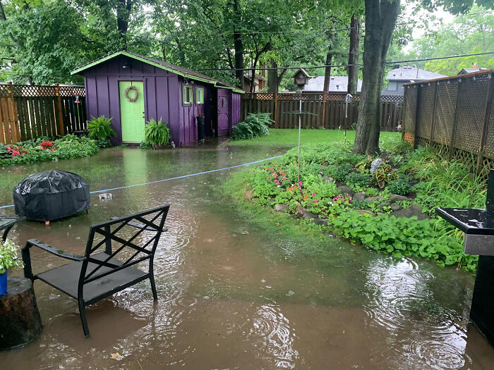 Backyard flooded with rainwater, garden and purple shed visible, illustrating nature’s impact in wild conditions.