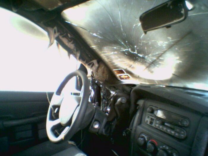 Interior of a car with extensive fire damage, melted dashboard, and shattered windshield showing effects of nature’s destructive power.