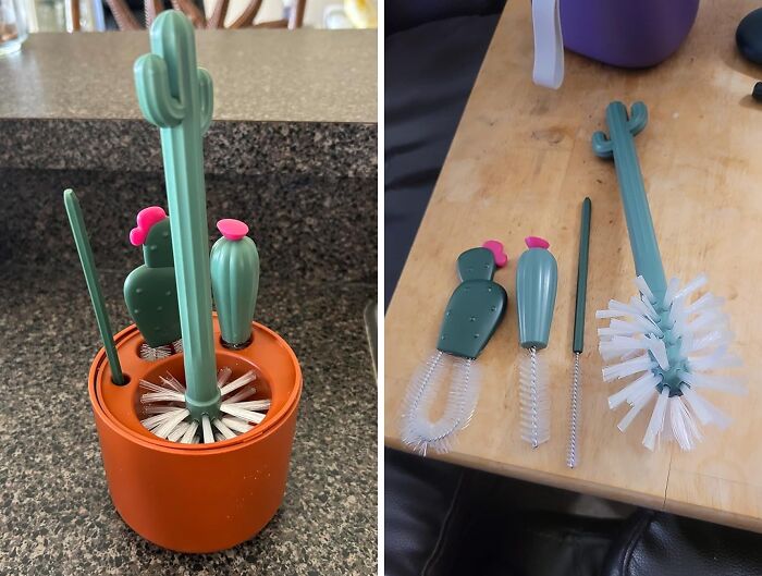 The Cacti Bottle Cleaning Brush Set Is A Spiky Solution To Bottle-Cleaning Blues, Adding A Touch Of Desert Chic To Your Kitchen Sink