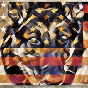 carrboroblues avatar