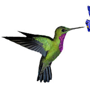 trishcouncell avatar