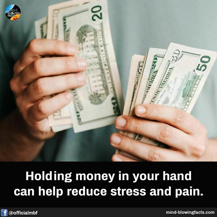 Person holding US dollar bills in hand illustrating mind-blowing facts about money and stress reduction benefits