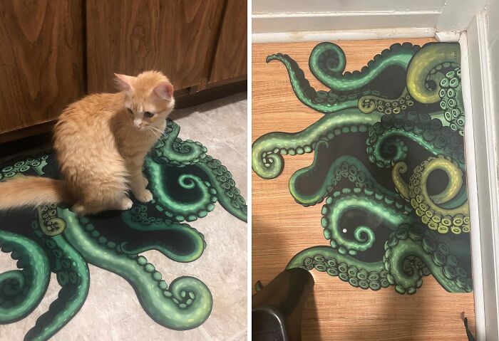 Orange cat sitting on octopus tentacle rug in kitchen corner, a unique decor find.