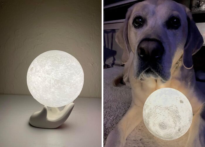Glowing moon lamp on a hand-shaped base; second image shows a dog with the lamp, creating a show-stopping effect.