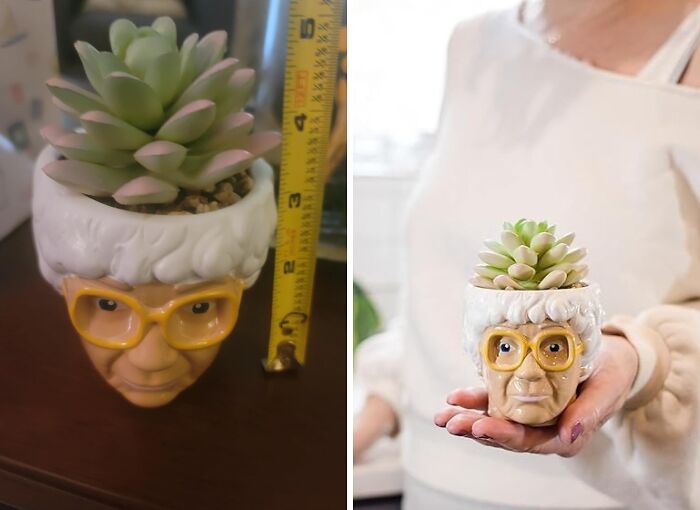 Quirky plant pot shaped like an elderly face with glasses, housing a succulent, a true show-stopping find.