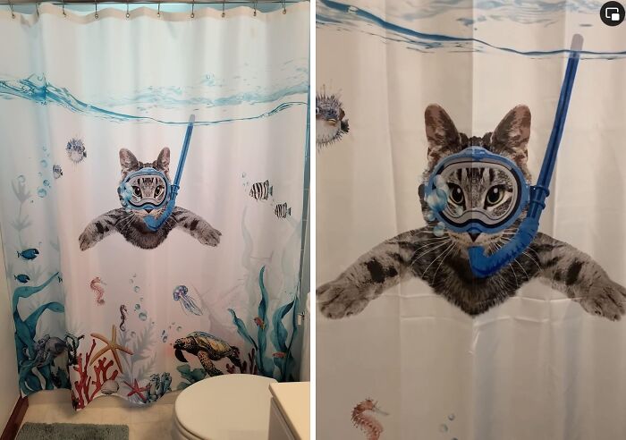 Cat shower curtain featuring a cat in a snorkel, surrounded by ocean-themed decor; a unique find for bathroom decor.
