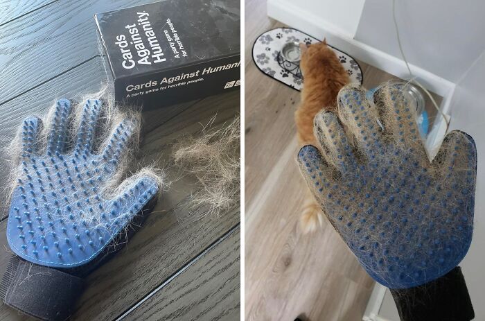 Grooming glove covered in cat fur beside a box, cat drinking water, showcasing "love at first sight" finds.