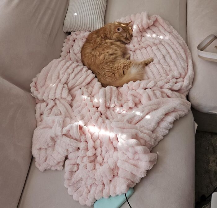 Binge-Watch Your Favorite Shows In Ultimate Snugness With This Super Soft Bedsure Fleece Throw Blanket