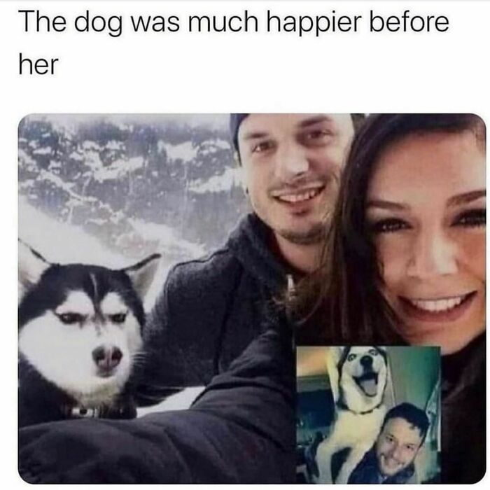 Awkward animal photo of a dog looking grumpy with a couple, contrasting a previous happy picture.
