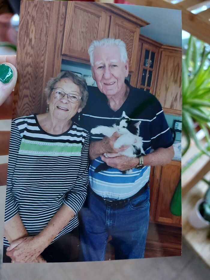 My Grandparents Adopted A Kitten And They Sent Me This Pic In The Mail 🥰