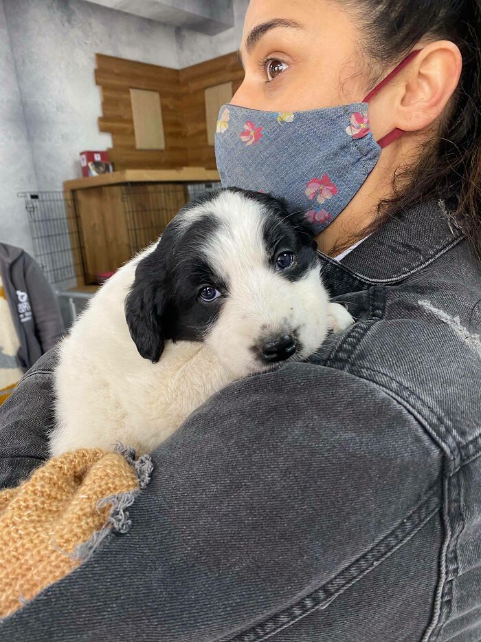 Meet Our Mochi. We Found Her Inside A Tree At A Turkish Market. Tonight She Sleeps With Heating For The First Time