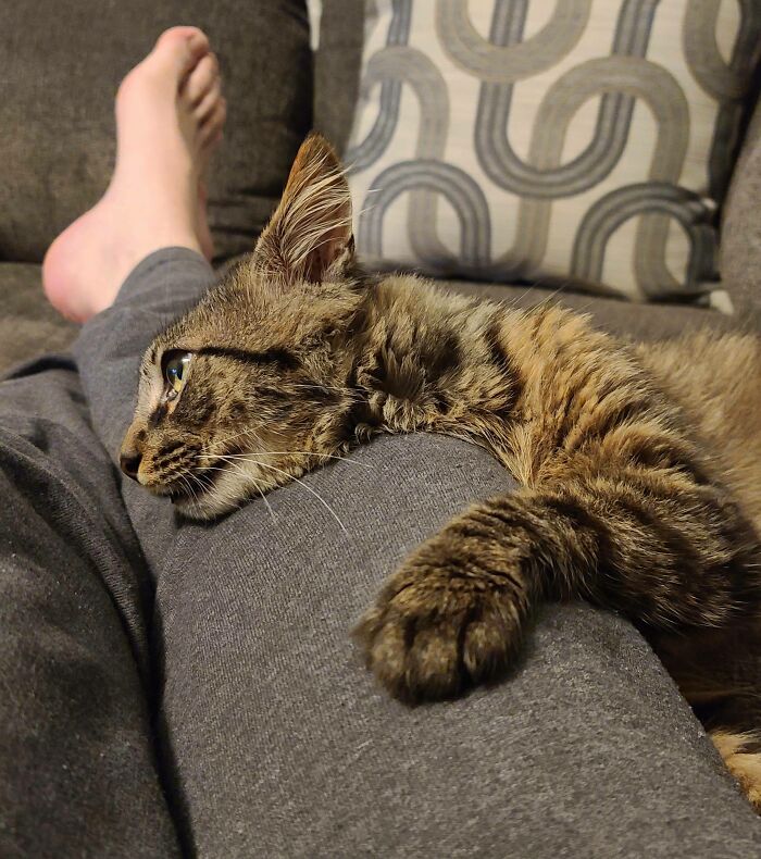 Adopted Little Auron 2 Days Ago