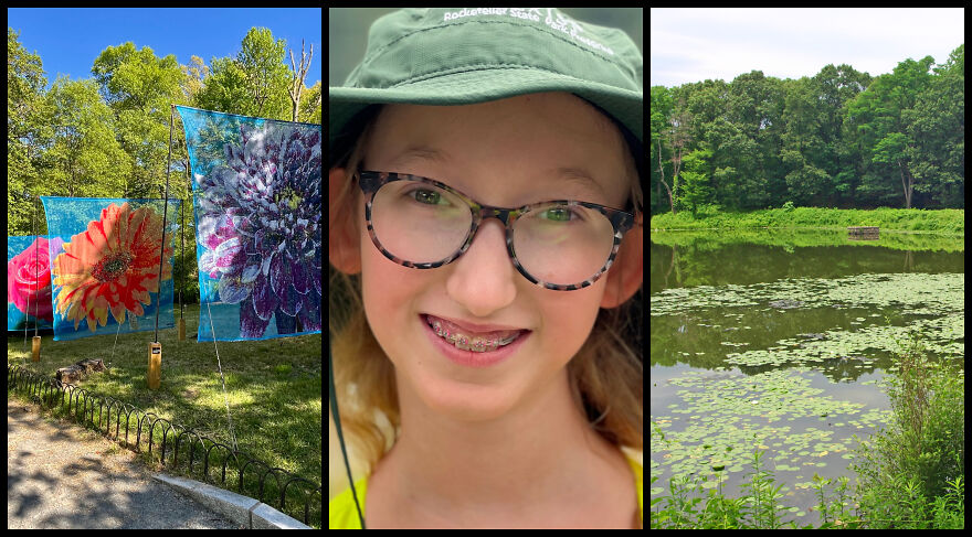 Bridging Art And Nature: The Impact Of Hailey Schott&rsquo;s Work