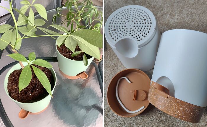 Two green potted plants on a glass table and a disassembled self-watering planter showing internal water reservoir life hack.