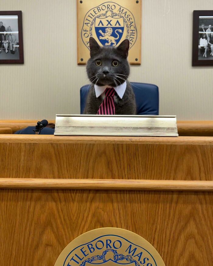 Mr. Spooky, Candidate For Mayor Of Attleboro, Massachusetts