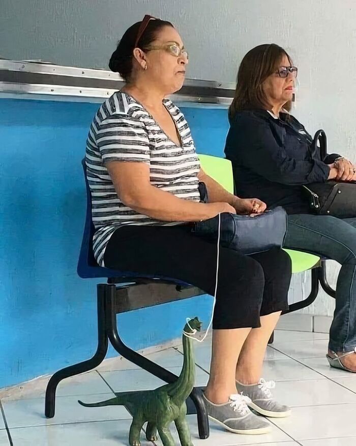 50 Images From The Quirky And Comedic Side Of The Internet