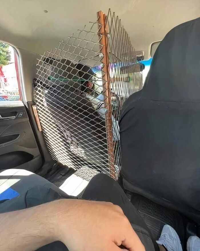 50 Images From The Quirky And Comedic Side Of The Internet