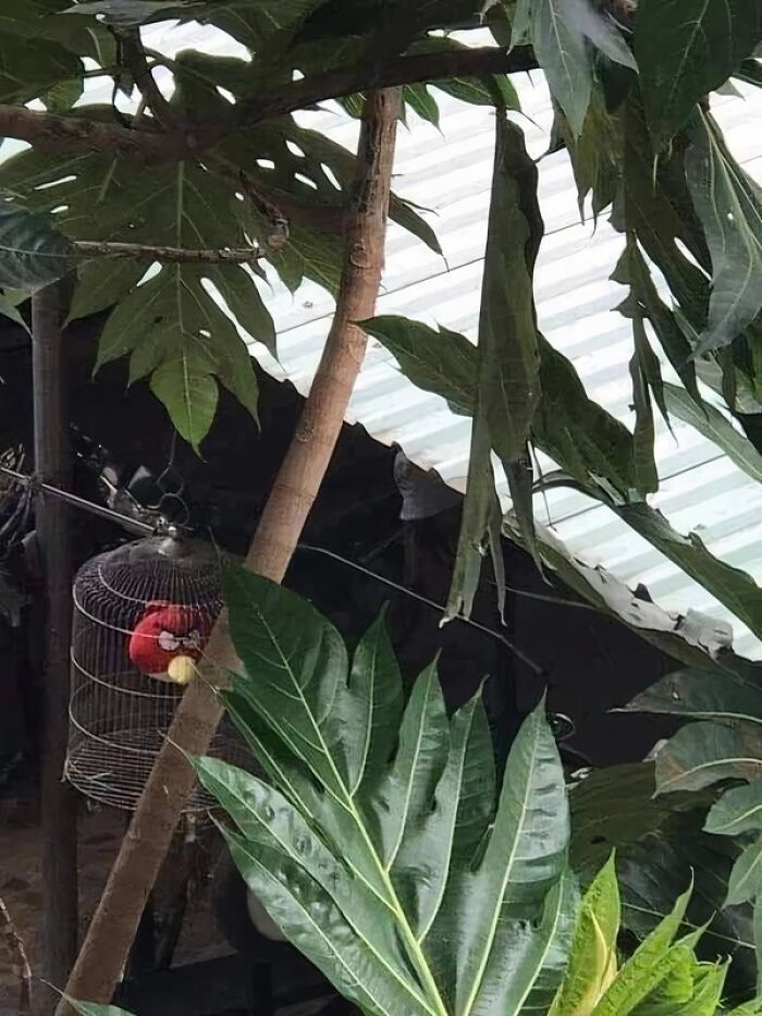 50 Images From The Quirky And Comedic Side Of The Internet