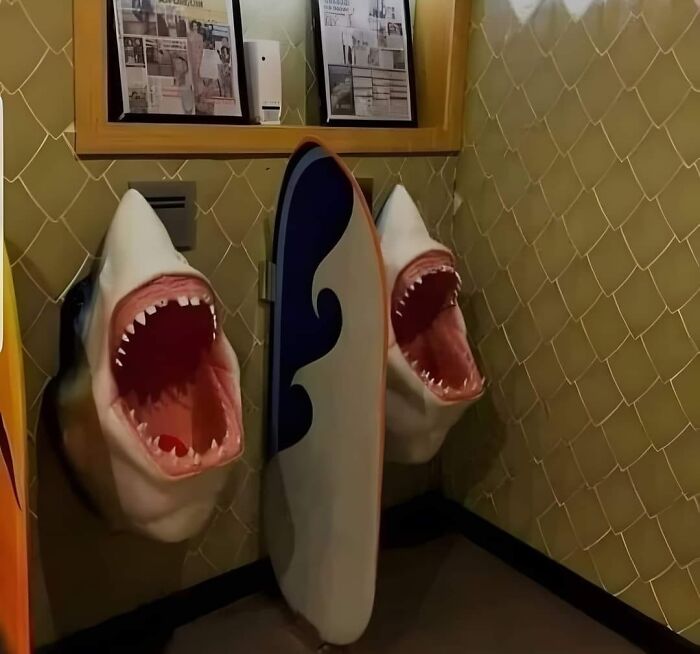 50 Images From The Quirky And Comedic Side Of The Internet