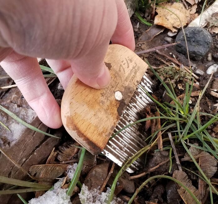 This Crevice And Sidewalk Crack Weeder Is The Weed-Whacking Warrior Your Patio Pavers And Sidewalks Have Been Secretly Cheering For. No More Unsightly Weeds Ruining Your Curb Appeal – This Handy Tool Will Have Your Outdoor Spaces Looking Pristine In No Time