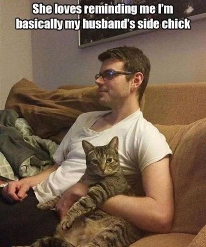 Man sitting on couch holding a tabby cat, humorous caption about pet relationships in popular animal memes therapy.