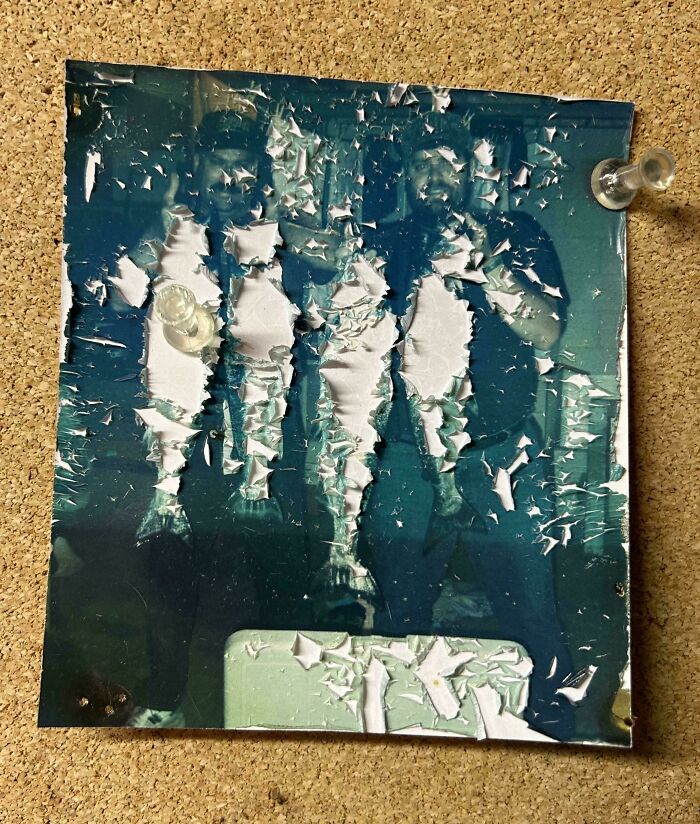 This Old Photograph Seems To Have Peeled Entirely Away Only Where The Fish Are