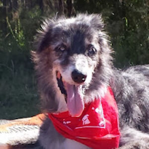 nancywheeler_2 avatar