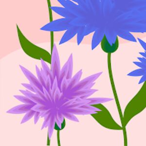 whitneyweaver avatar