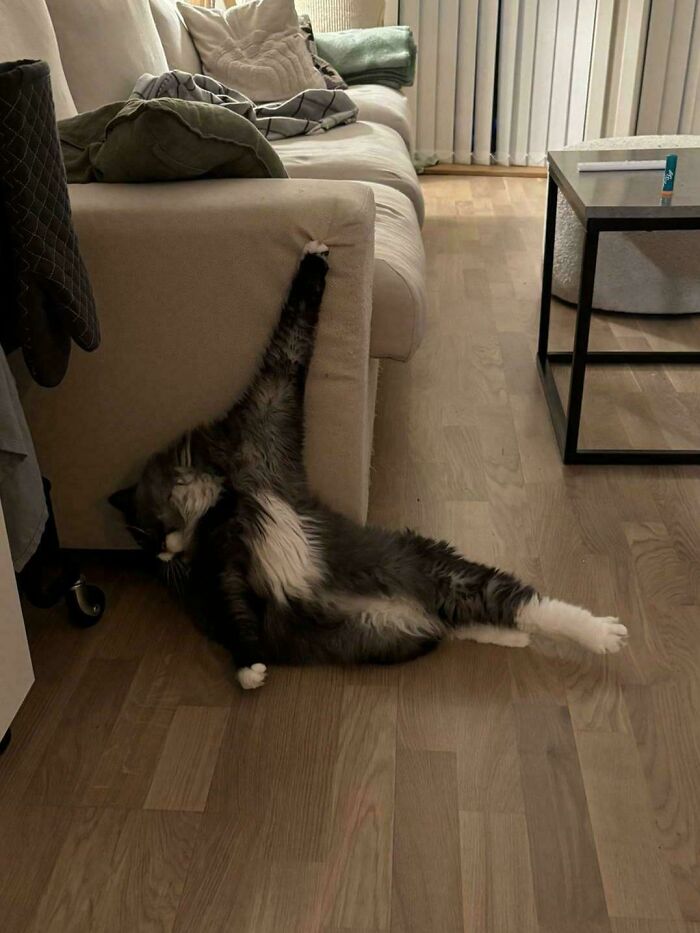 What's The Title Of This Renaissance Painting?