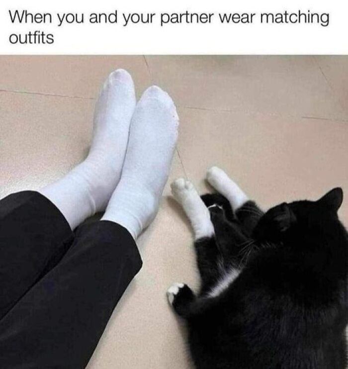 Person wearing white socks matching with black and white cat’s paws, illustrating popular animal memes for therapy benefits.