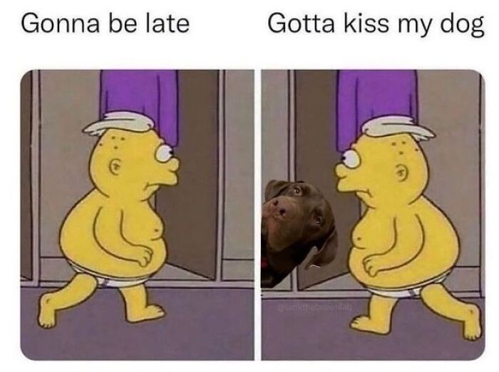 Cartoon character rushing, then stopping to kiss a dog, illustrating the appeal of animal memes better than therapy.