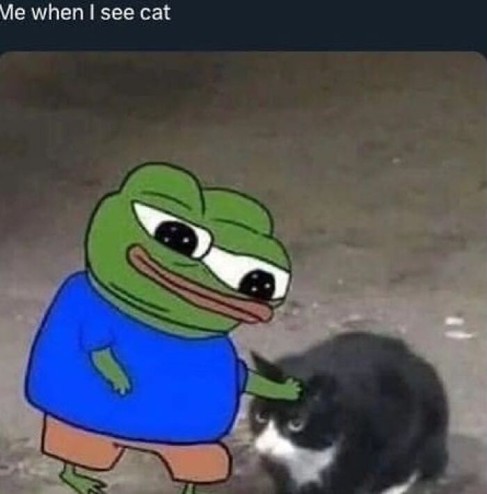Cartoon frog in blue shirt petting a black and white cat, illustrating popular animal memes loved for their humor and therapy benefits.