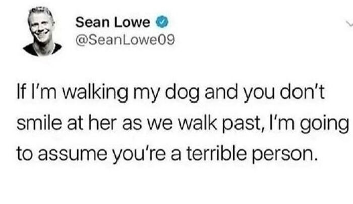 Tweet about walking a dog and judging people who don’t smile, featured in popular animal memes considered better than therapy.