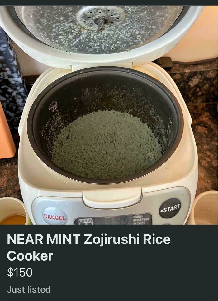 Rice Cooker For Sale. Near Mint. Maybe If That Means It Includes Minty Colored Mold