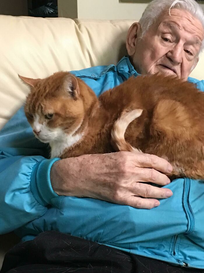 My 92-Year-Old Grandfather With My 16-Year-Old Cat. Elderly Statuses From Two Different Species