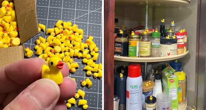 Tiny rubber ducks used in lighthearted April Fools pranks, placed around a spice cabinet and held in hand.