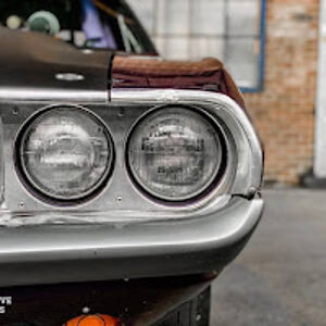 altheeurotrotter avatar