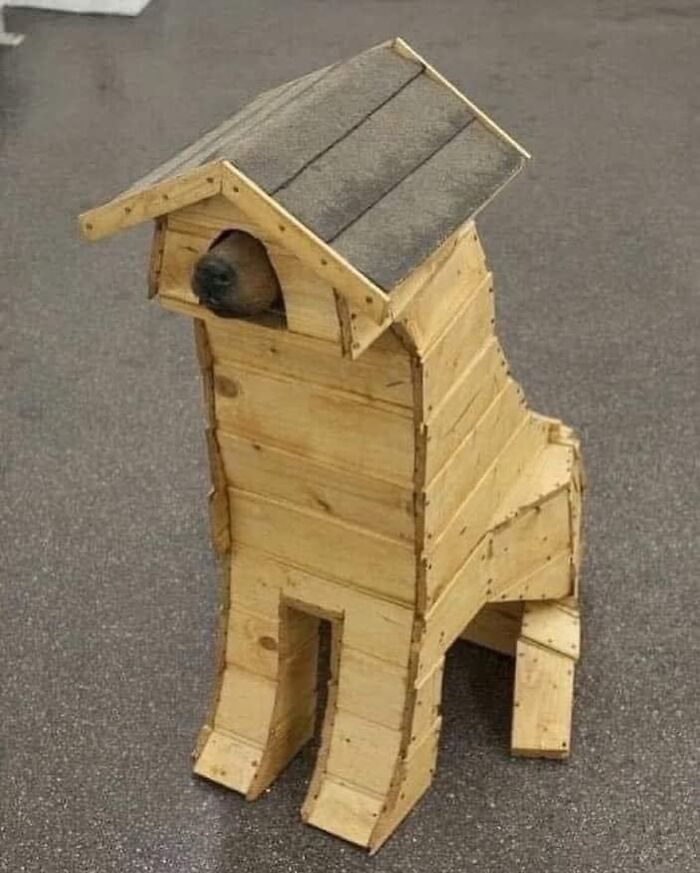 Wooden dog-shaped birdhouse on a paved surface, showcasing creative design from the best "Pics That Go Hard" collection.