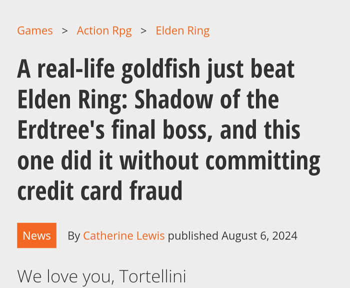 Excuse Me, Without What?