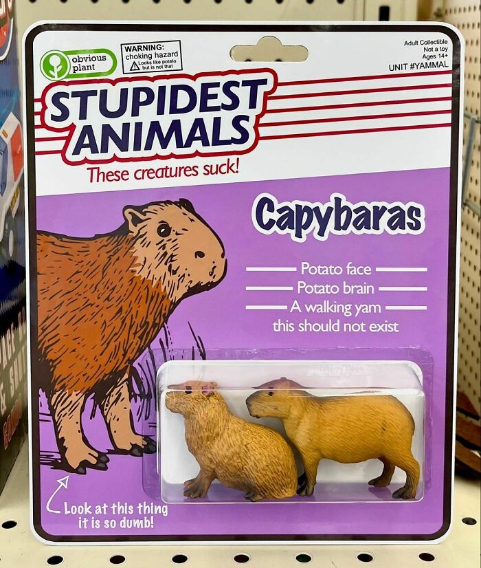 Funny fake product by Obvious Plant: "Stupidest Animals" featuring capybara toys with humorous descriptions.