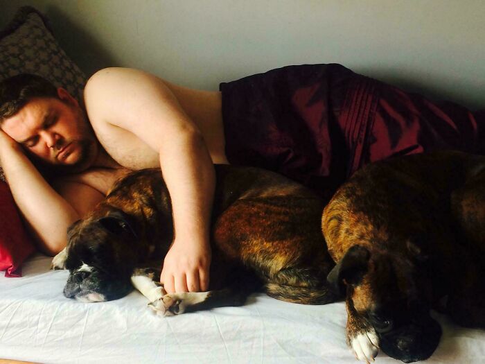 Letting My Mates Dogs In The Bed