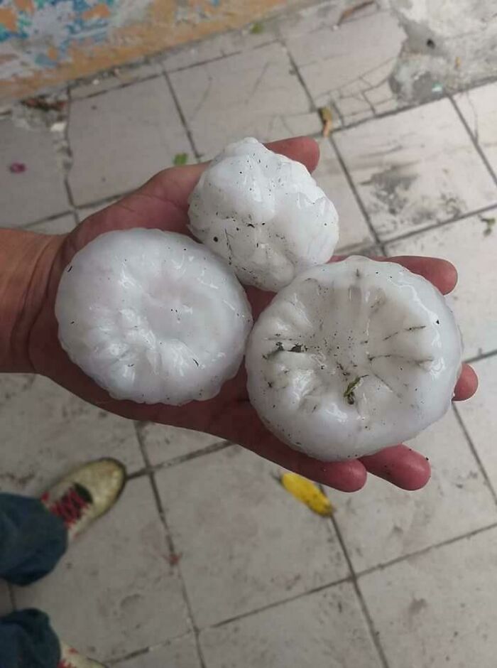 Large hailstones in a person's hand showing a wild example of nature doing things on its own terms.